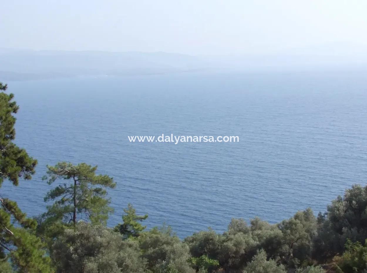 Akyaka Kandilli De Satılık Arsa 5000M2 Full Deniz Manzaralı Satılık Köy Evi Arsa