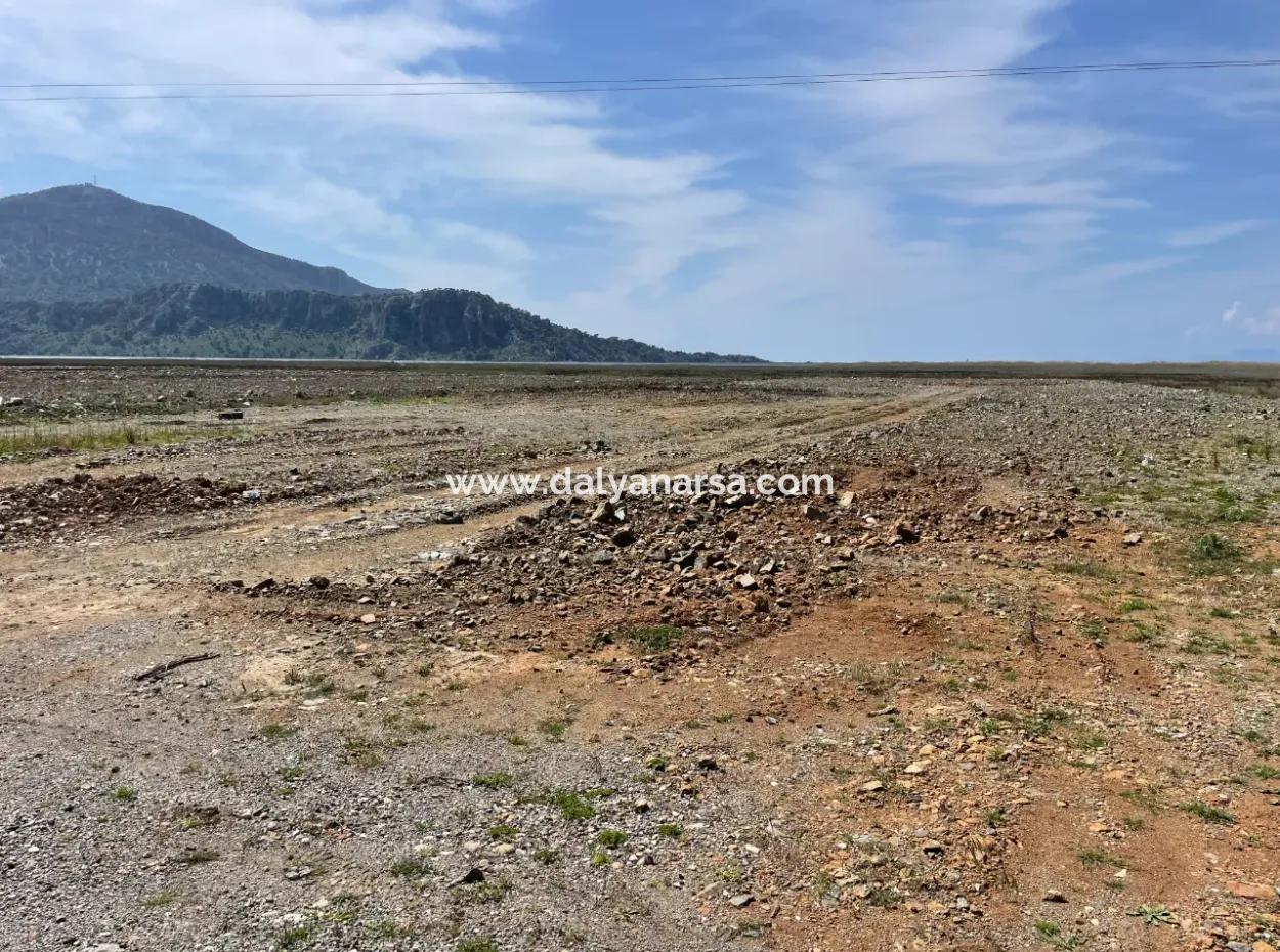 Dalyan İztuzu Plaj Yoluna Sıfır 19,600M2 Satılık Tarla Arazi