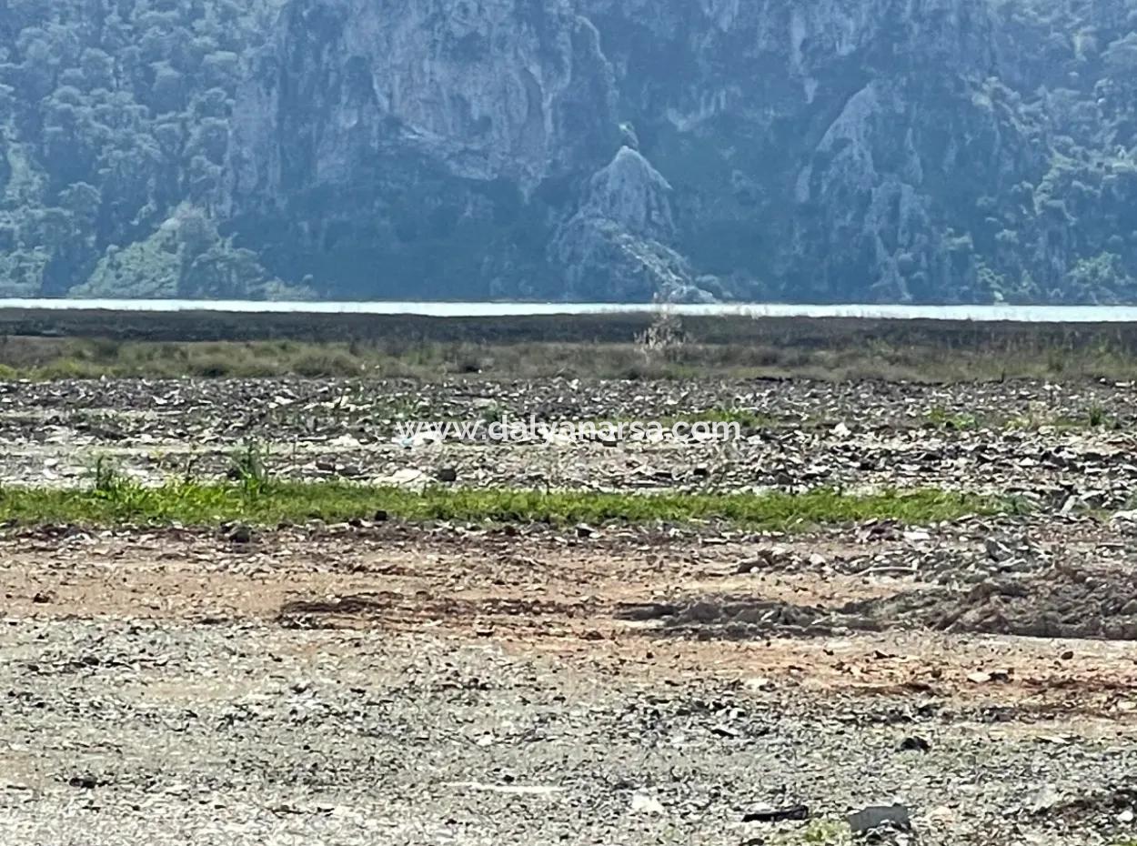Dalyan İztuzu Plaj Yoluna Sıfır 19,600M2 Satılık Tarla Arazi