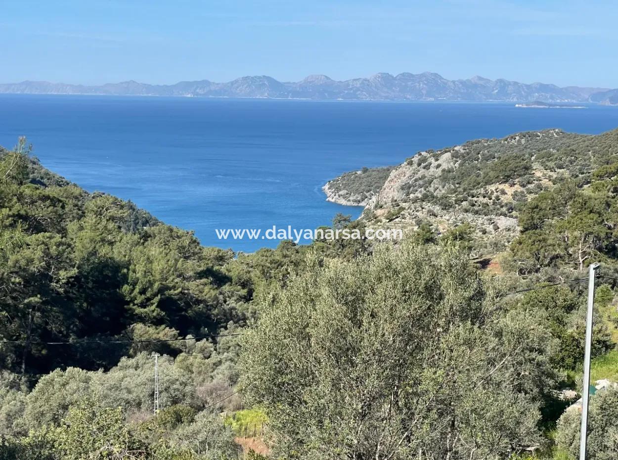 Gökbel'de Full Deniz Manzaralı 4,400M2 Arsa İçinde Satılık Köy Evi