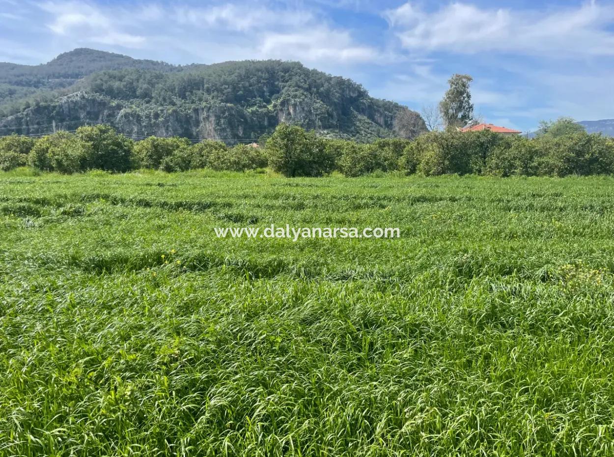 Okçular'da 736M2 Arsa Satılık