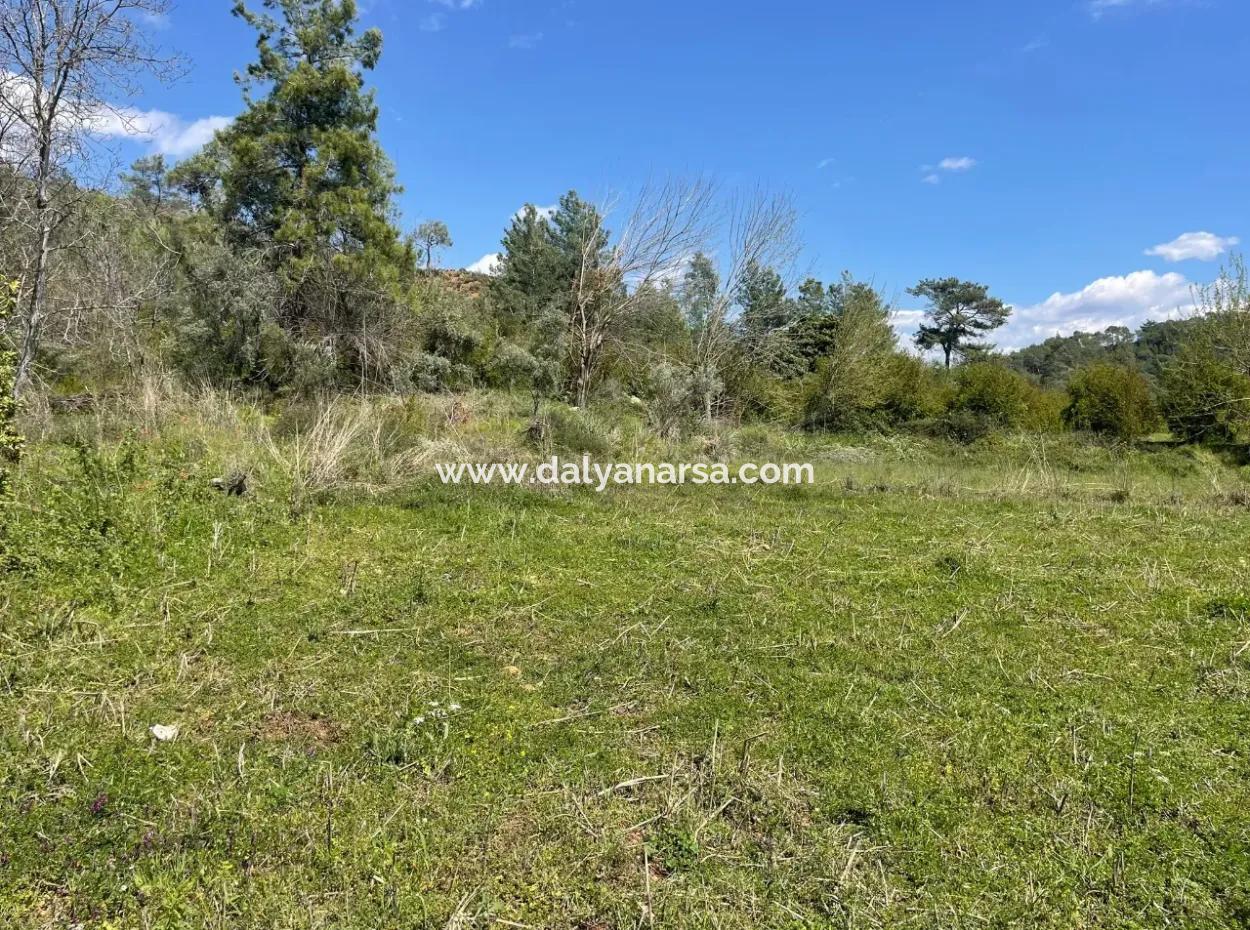 Zeytinalanın'da 5650M2 Tarla İçinde Satılık Köy Evi