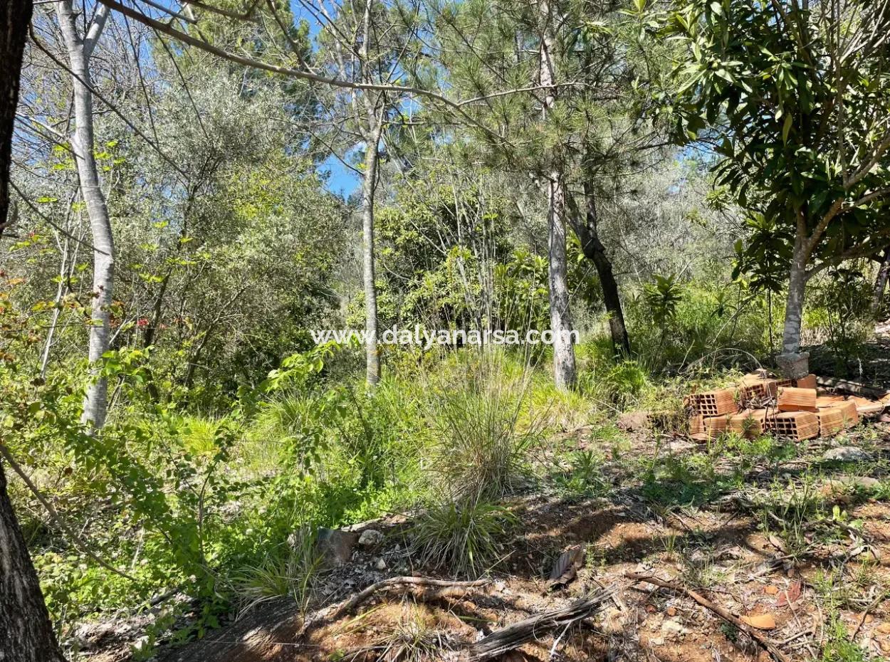 Zeytinalanın'da 5650M2 Tarla İçinde Satılık Köy Evi