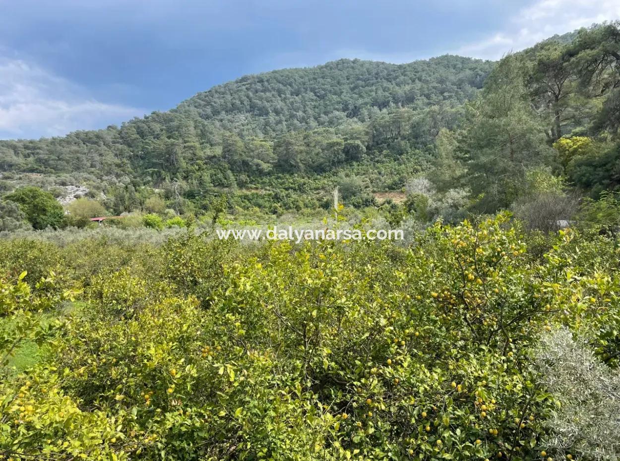 Çandır'da Yola Sıfır 5000M2 Satılık Tarla