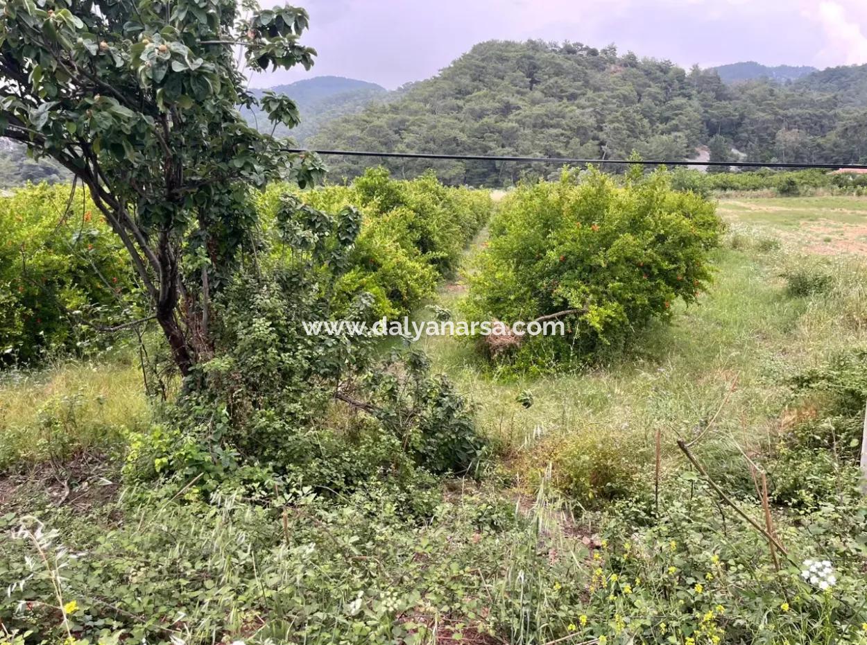 Gökbelde 14,000M2 Satılık Tarla