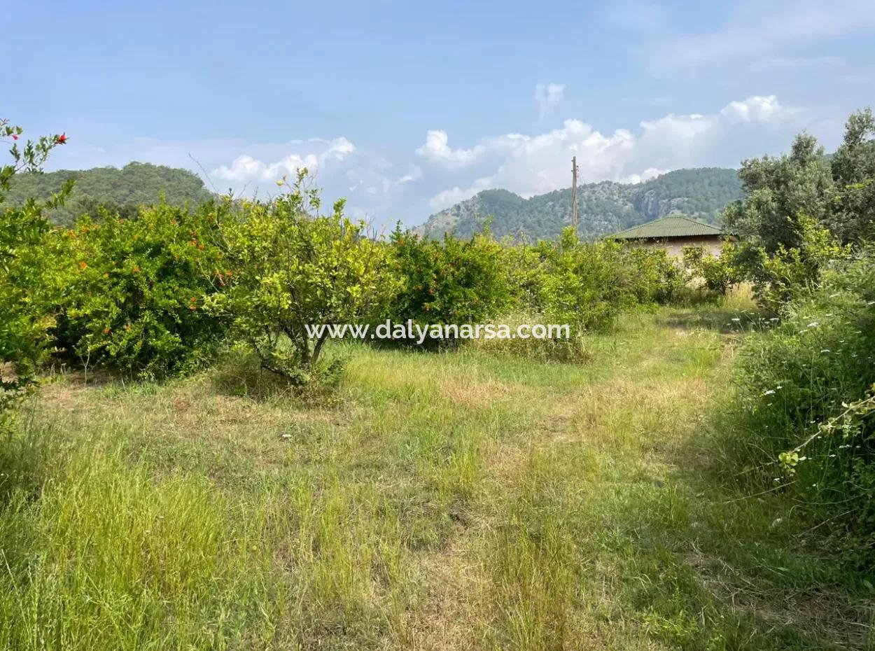 Gökbel'de İztuzu Plajı Yoluna Sıfır 7800M2 Satılık Arazi