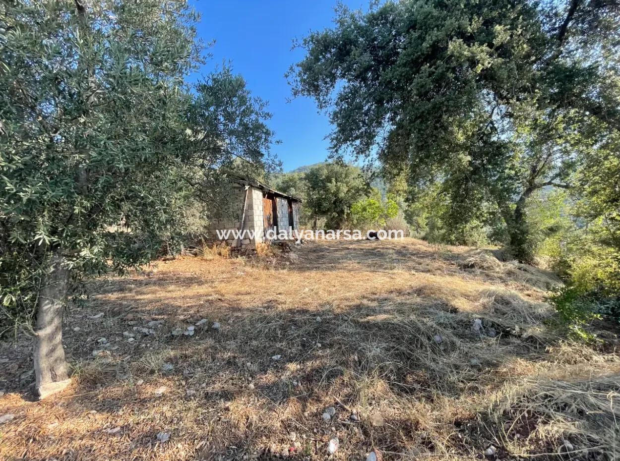 Çandır Full Deniz Ve Göl Manzaralı 500M2 Satılık 2B Tarla