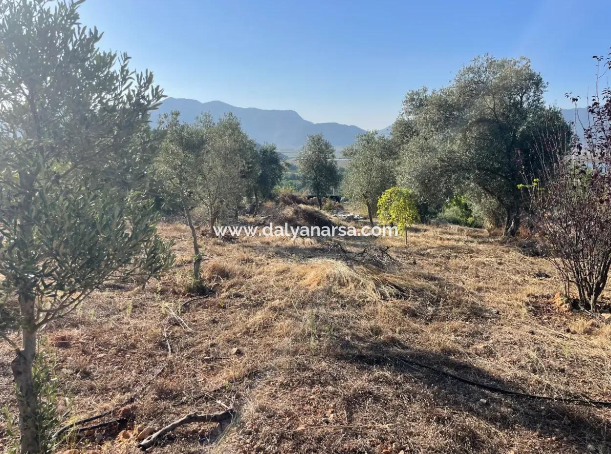 Çandır Full Deniz Ve Göl Manzaralı 500M2 Satılık 2B Tarla