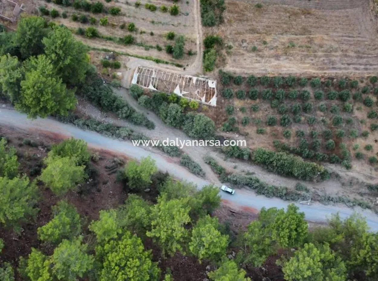 Mergenlide Aşı Koyu Yolu Üzerinde Satılık 3578M2 Tarla