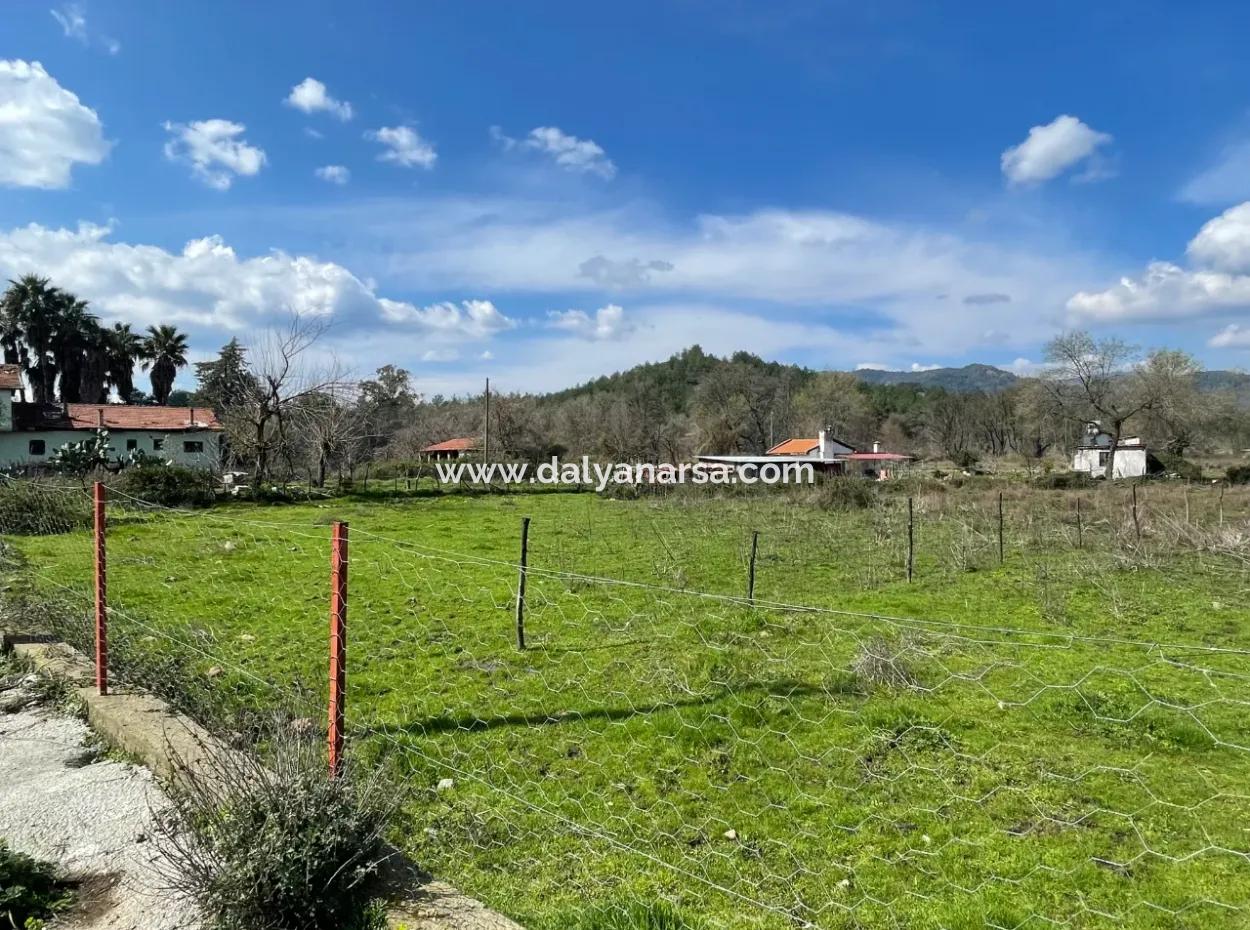 Sultaniye Büyükkaraç Mahallesin Satılık Tarla