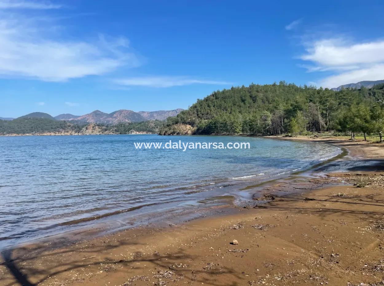 Sultaniye Büyükkaraç Mahallesin Satılık Tarla