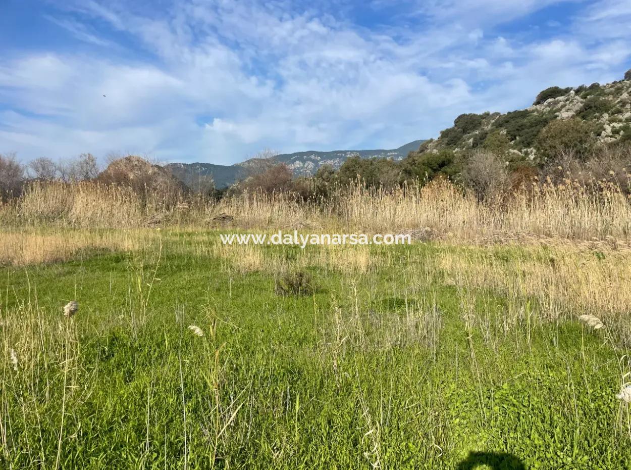 Dalyan'da 6800 M2 %5 Konut İmarlı Satılık Arsa