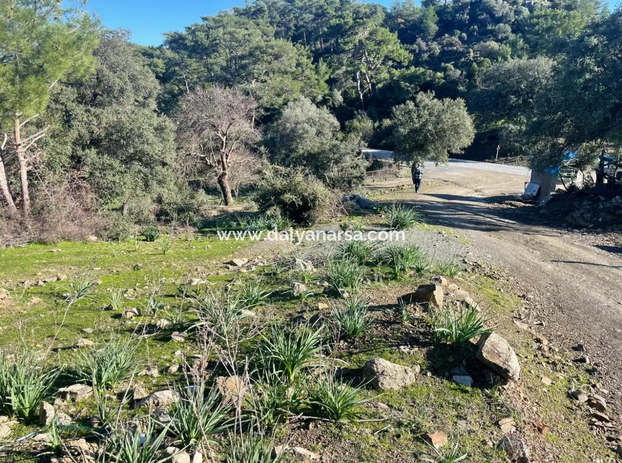 Çandır'da Deniz Manzaralı Satılık 2B Arazisi